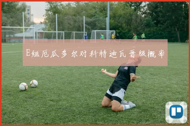 E组厄瓜多尔对科特迪瓦晋级概率 — 详细说明