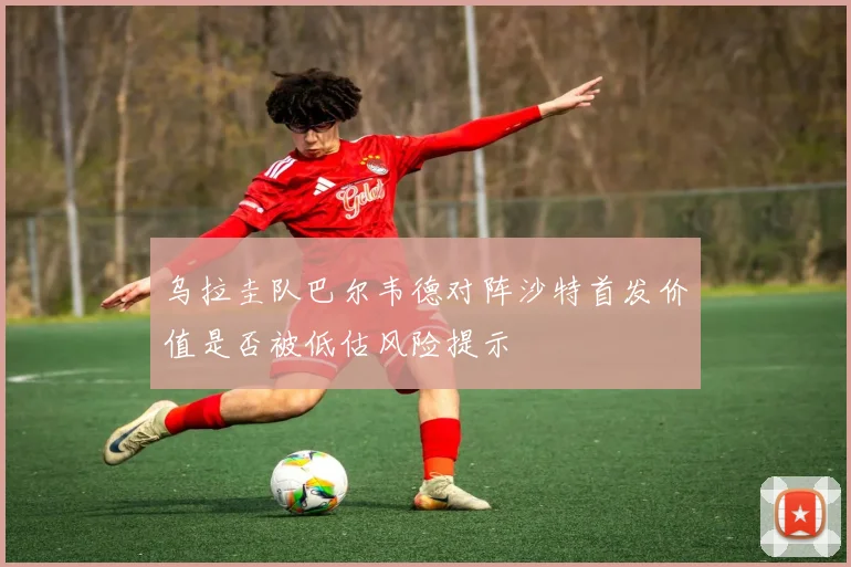 乌拉圭队巴尔韦德对阵沙特首发价值是否被低估风险提示