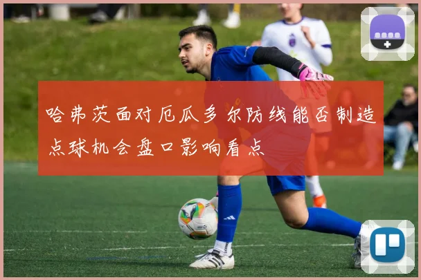 哈弗茨面对厄瓜多尔防线能否制造点球机会盘口影响看点